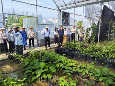 探索農(nóng)友9875 現(xiàn)代種植技術(shù)開(kāi)發(fā)的動(dòng)態(tài)與前景