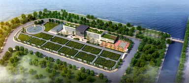 青島海水稻研發中心揭牌，首代稻種預計11月問世，技術開發引領農業新篇章