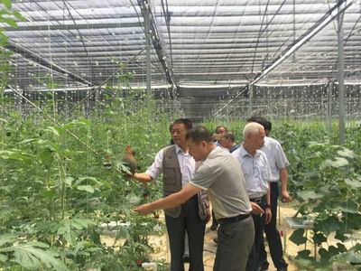 袁文先將軍深入三明調(diào)研，為扶貧改革與種植技術(shù)發(fā)展注入新動(dòng)能