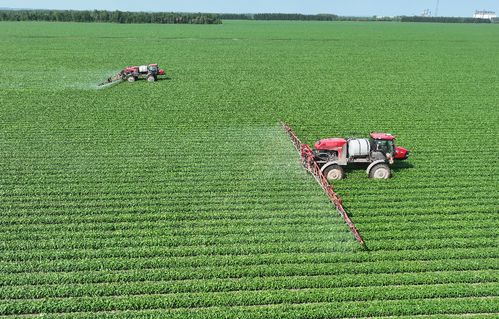 北大荒集團(tuán)北安分公司 以定制農(nóng)業(yè)與種植技術(shù)開發(fā)，繪就高質(zhì)量發(fā)展新圖景