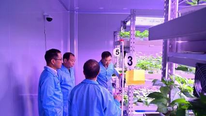 老洪劃重點 植物工廠——種植技術開發帶來的未來農業革命
